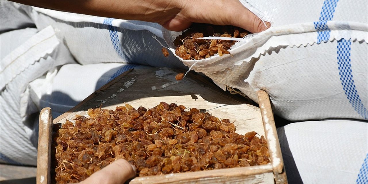 Bakan Pakdemirli, Kuru Üzüm Fiyatlarını Açıkladı
