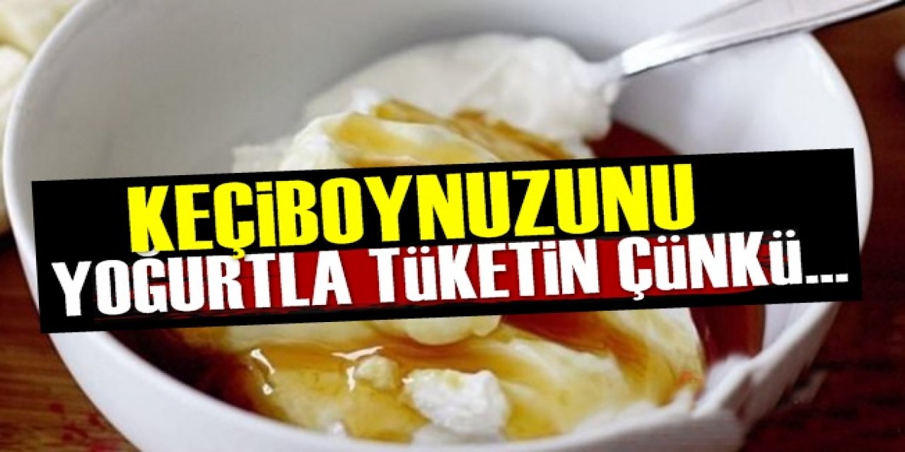 Yoğurtla Karıştırıp Keçi boynuzu Pekmezinden 1 kaşık Aç karnına yerseniz şıp diye geçer