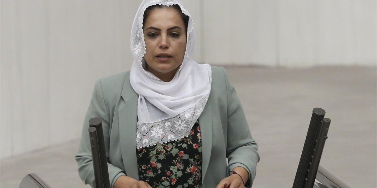 HDP Diyarbakır Milletvekili Remziye Tosun'un Cezası Belli Oldu