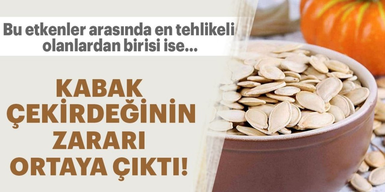 Severek Yediğiniz Kabak çekirdeğinde tehlike bir avuçtan fazla yerken dikkatli olun çünkü..