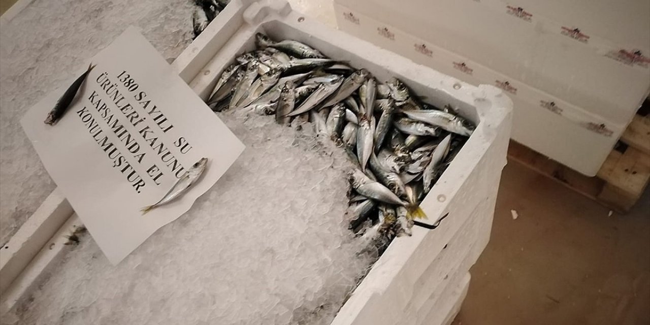 Balık Yerken Dikkat İstanbul Bu Haberle Çalkalanıyor binlerce liralık ceza kesildi 7 ton ürüne el konuldu