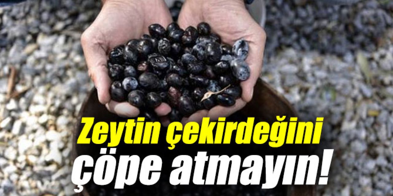 Zeytin Çekirdeğini atmayın Bilinmeyen Sırrı Sonunda Açığa Çıktı Meğer yutulursa O sorun geçiyormuş..