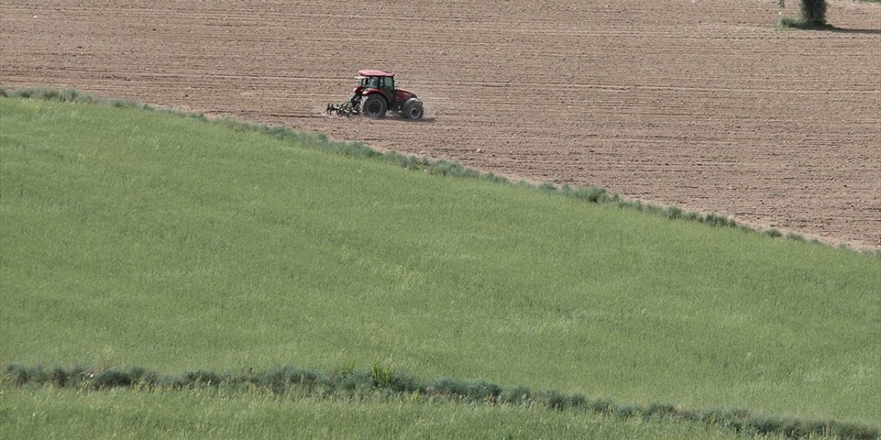 Hazineye Ait Tarım Arazileri Çiftçilere Kiralanacak