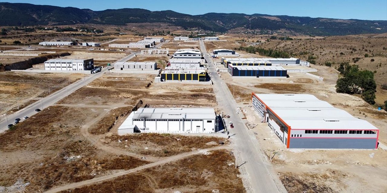 Bolu'da 'Helal Jelatin' Fabrikası Kuruluyor