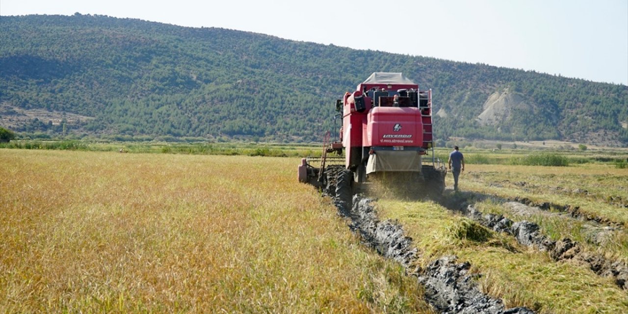 Gıda Enflasyonuyla Mücadele İçin Yeni Önlemler Alındı