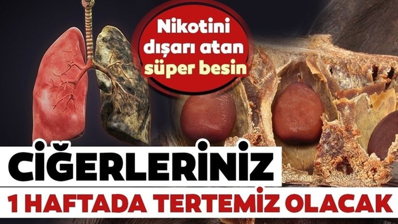 Akciğerdeki Tüm Zehri atıyor nefesi açıp bütün toksinleri yok ediyor bir avuç bu yemişten yemek yeterli