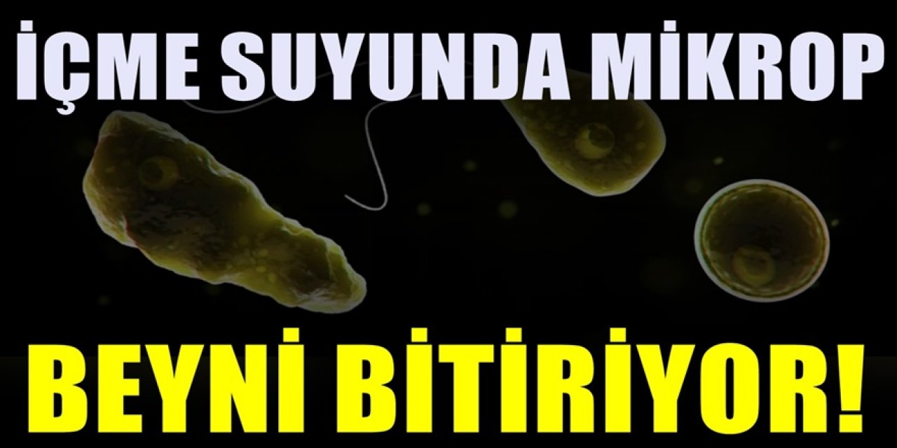 Endişe veren gelişme İçme Sularında beyin yiyen mikrop tespit edildi