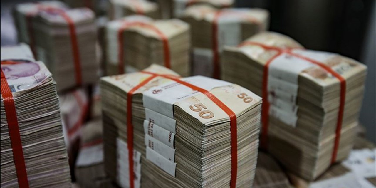 Ödenekte En Büyük Payı Hazine ve Maliye Bakanlığı Aldı