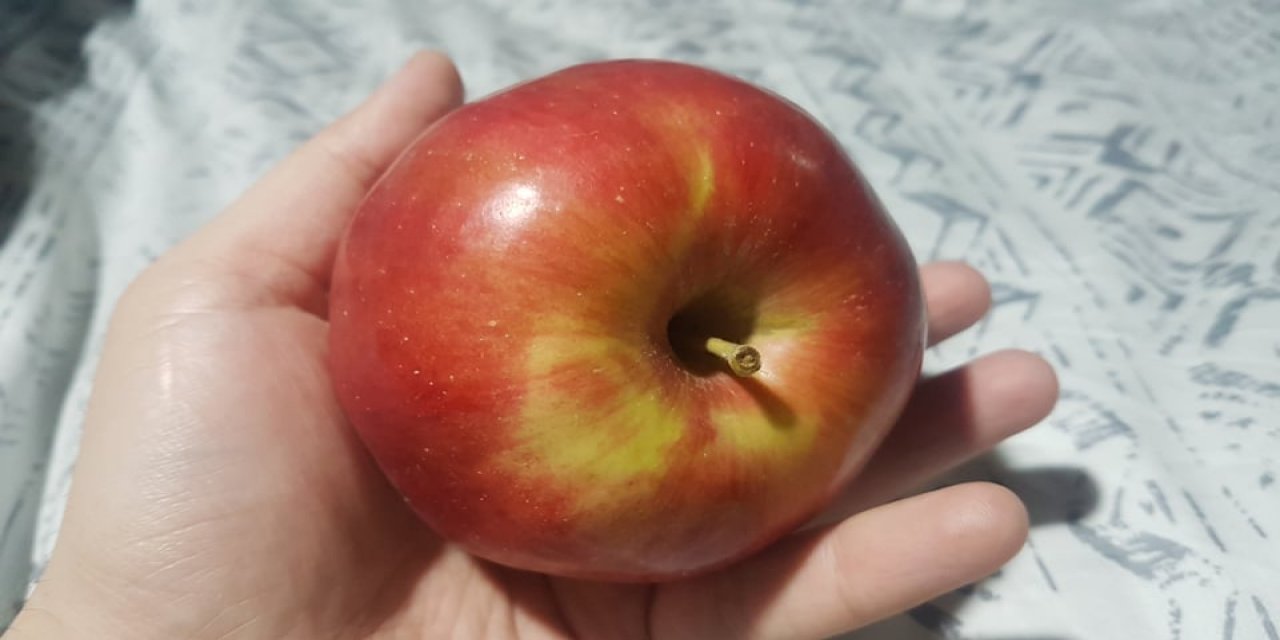 Soyduğunuz Elma Kabuklarını böyle değerlendirin o sorunu geçirir ve..