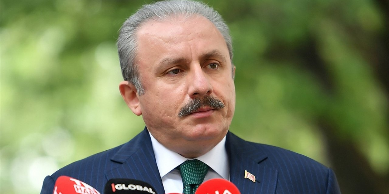 TBMM Başkanı Şentop, AYM Üyesi Yıldırım'a Tepki Gösterdi