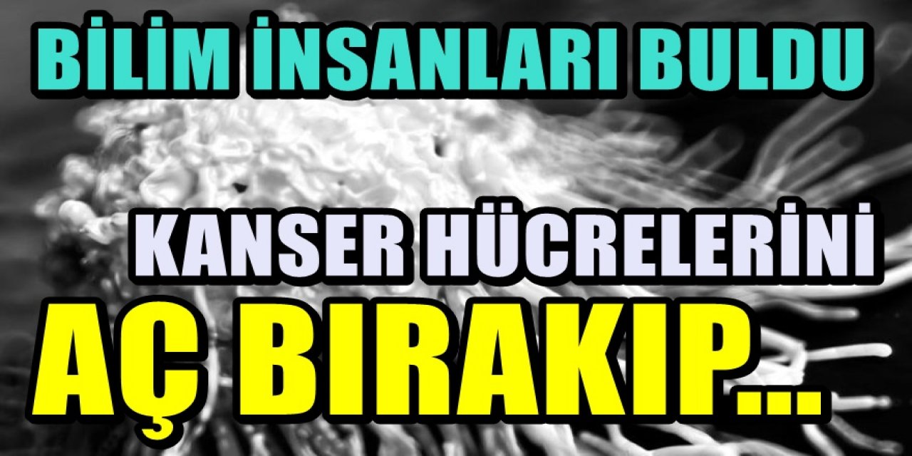 ABD'li Bilim insanlarından kanser tedavisinde umut Kanser Hücrelerini aç bırakıp öldüren buluş...
