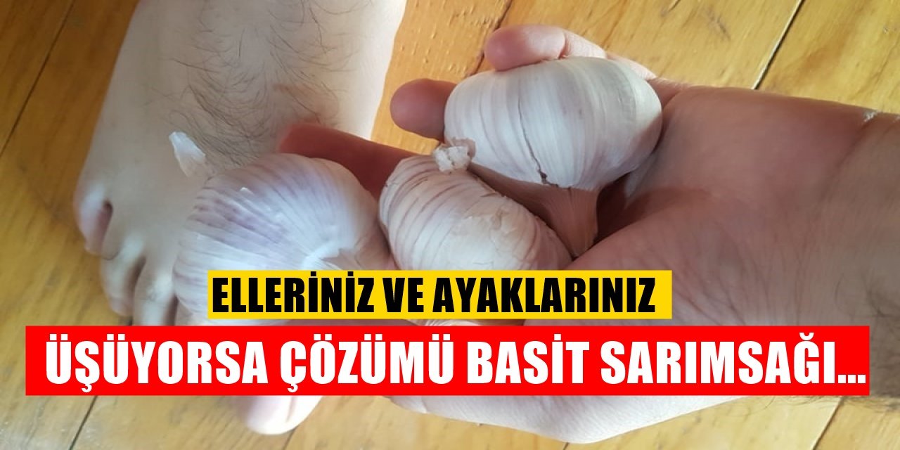 Elleriniz ve ayaklarınız çok üşüyorsa çözümü meğer basitmiş yapmanız gereken şey sarımsağı alıp...