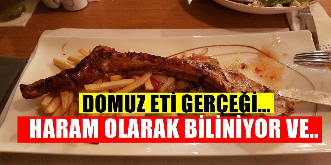 Haram olarak bilinen domuz etiyle ilgili ilk kez duyacağınız ezber bozan gerçek bir gramı bile...
