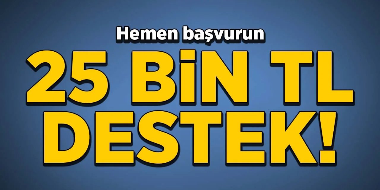 Devlet evinde yenilik yapacaklara 25 bin lira destek sunacak başvuru yeri açıklandı
