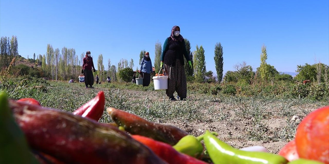 Komşu 14 Girişimci Kadının Hedefi Ülke Ekonomisine Katkı Sağlamak