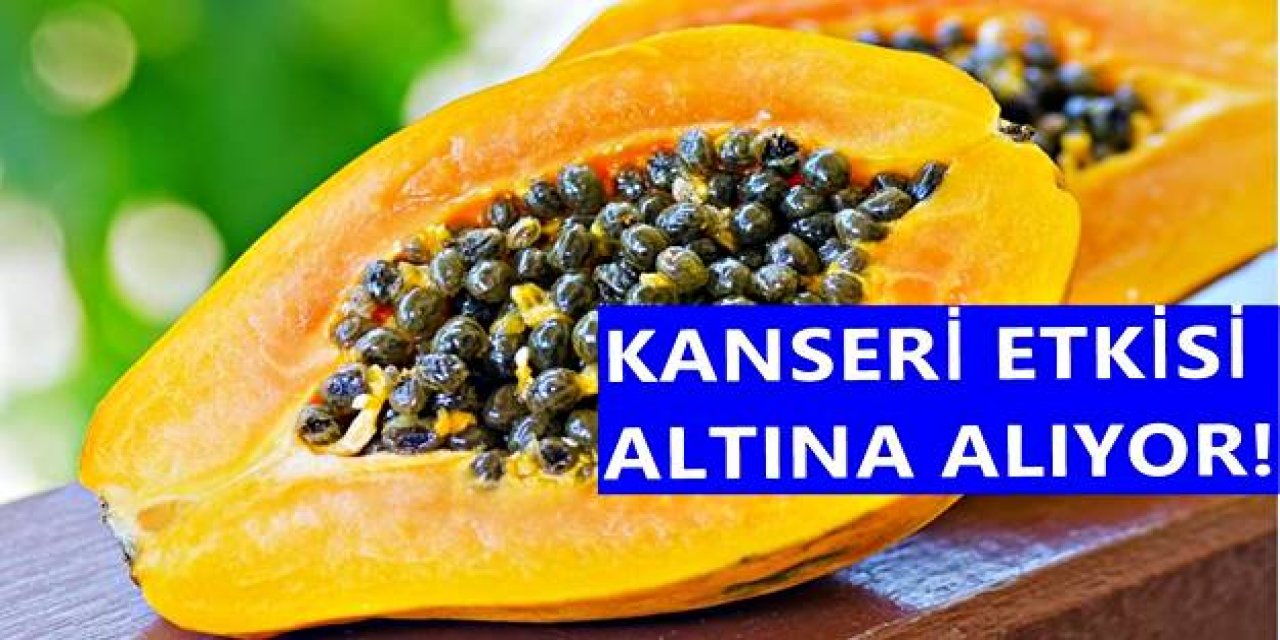 Uzmanlar öneriyor Kanser Hücrelerine karşı en etkili meyve..