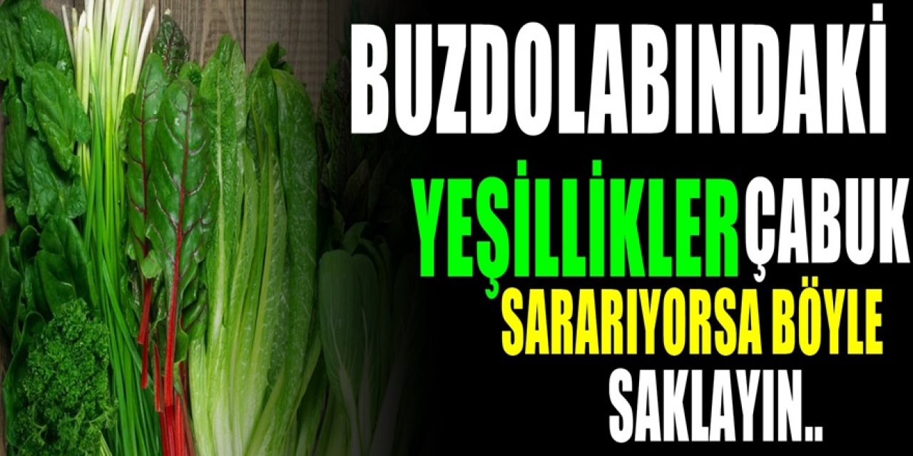 Yeşillikleri Buzdolabında Uzun Süre Saklamak İçin Tavsiyeler