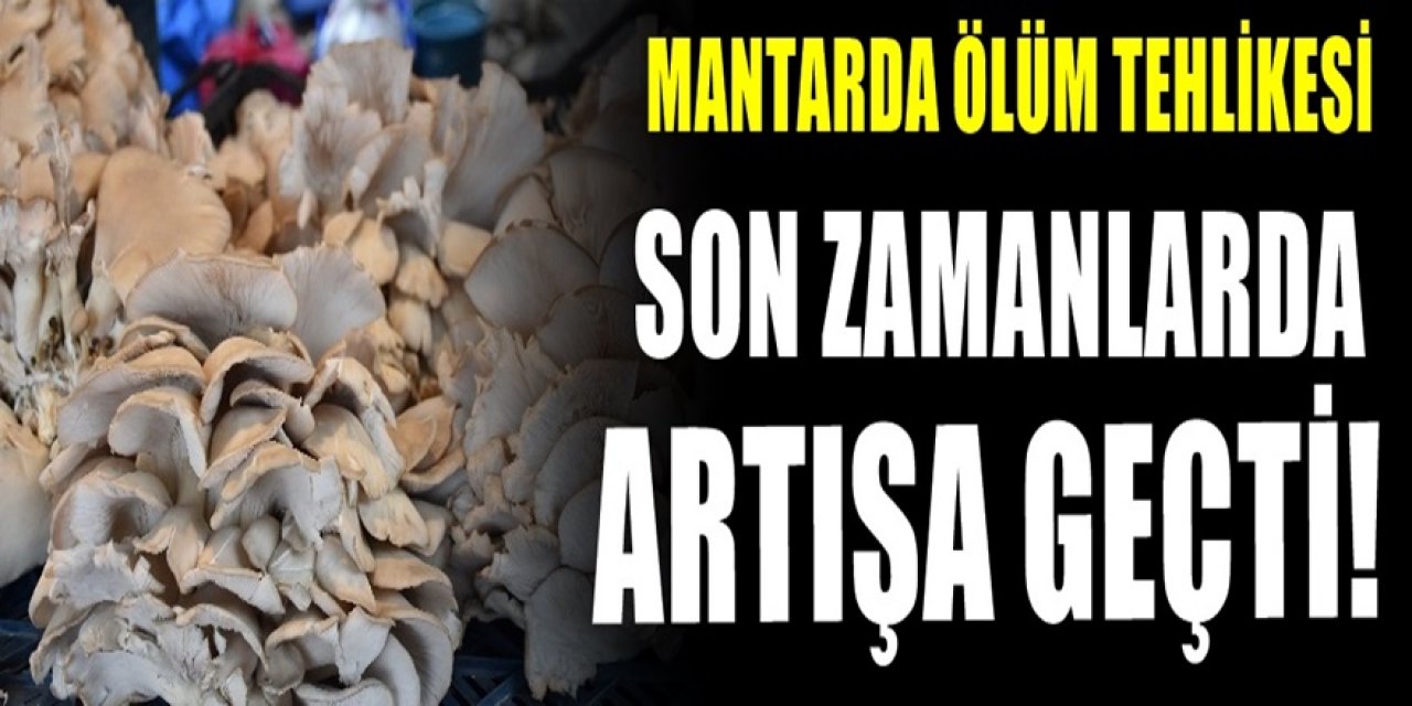 Mantar zehirlenmesi arttı. Dikkat edin yedikten sonra bu belirtiler varsa hemen doktora koşun