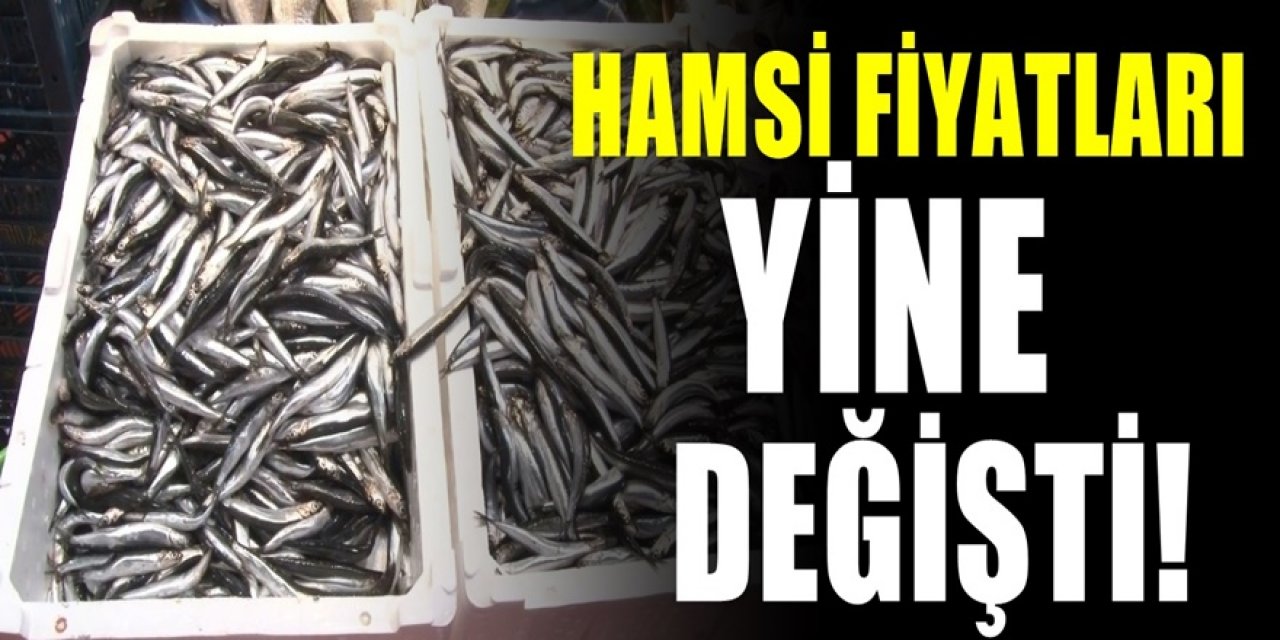 Hamsinin kilo fiyatı yine değişti. İniş çıkışlarıyla borsayı adeta aratmıyor.. İşte son durum