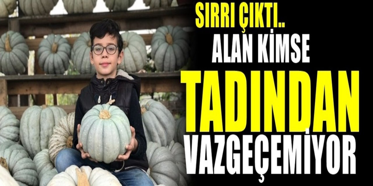 Bu kabağın lezzeti farklı. Başka kabaklarda bulunmuyor. Sırrı ise bulundu. Her yerden talep var