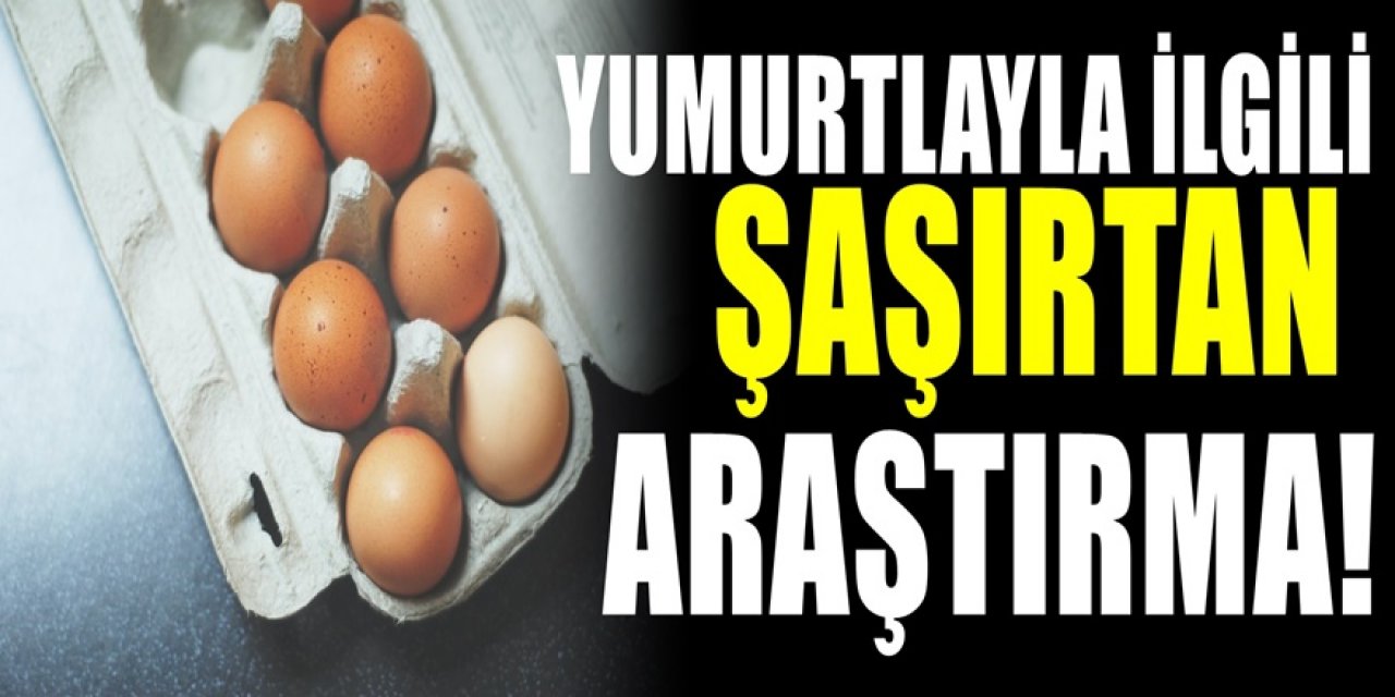 Yumurta hakkında yapılan araştırma ezberleri bozdu. Faydalı sanıyorduk oysa ilerletiyormuş..