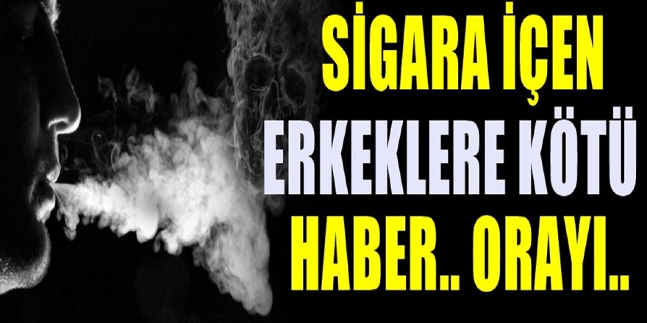 Sigara Nedeniyle Ortaya Çıkan Hastalıklar Nelerdir?