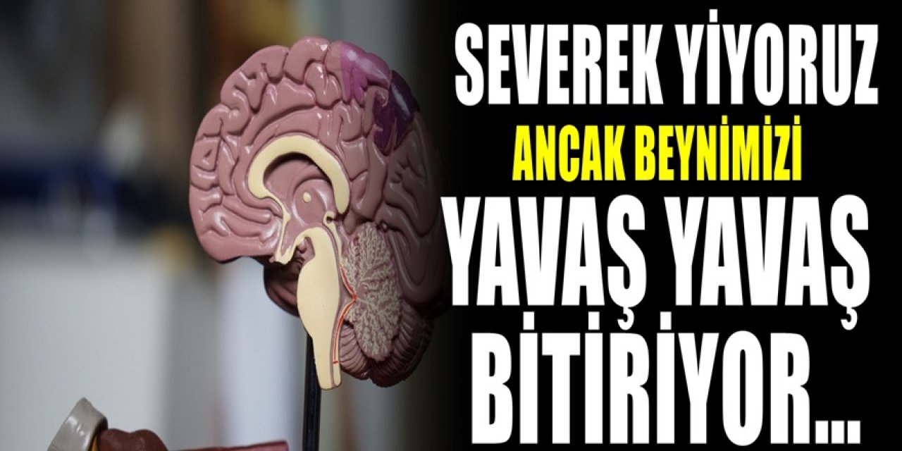 Severek tüketiyoruz ancak beynimizi bitiriyormuş!.. Beyin Sağlığınıza Olumsuz Etkisi Olan Yiyecekler