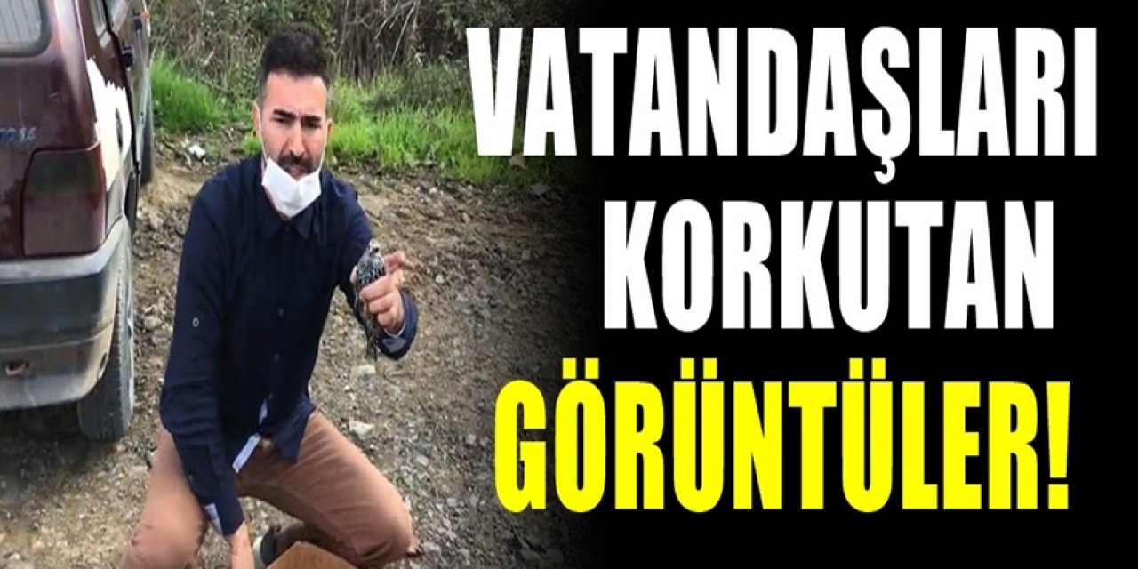 Vatandaşları korkutan görüntüler. Onlarcası yollara saçıldı. Kimse anlam veremedi.