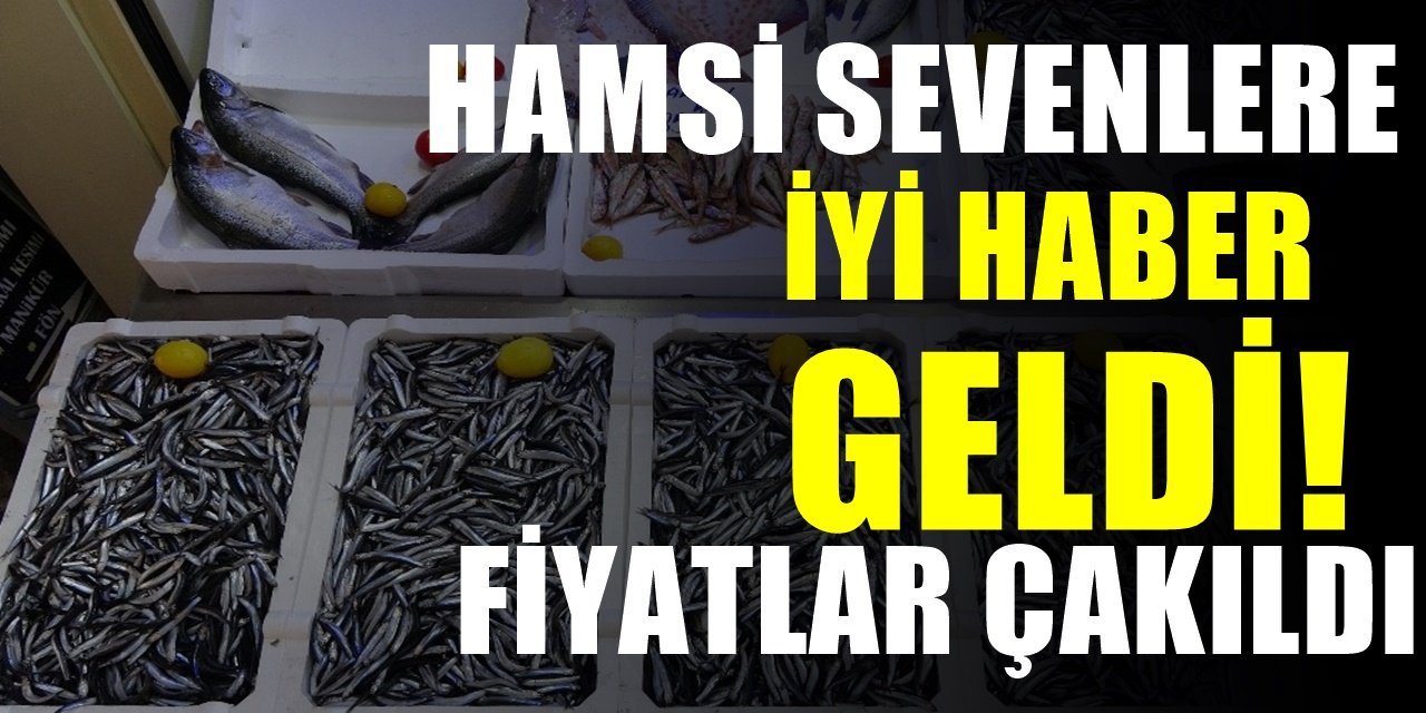 Hamsi fiyatlarındaki değişiklik ve tezgahlardaki bereket yüz güldürdü. Yine fiyatlar değişti..