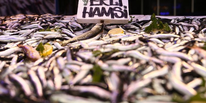 Tezgahlar Hamsi ile Canlandı! Peki Hamsinin Kilosu Ne Kadar?