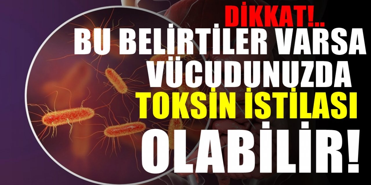 Vücudunuz önceden alarm veriyor. Toksin istilası olabilir. Peki nasıl kurtulacaksınız. İşte formülü