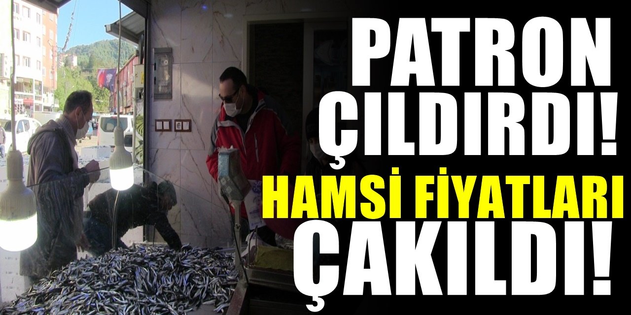 Hamsinin kilosu 3 liraya kadar düştü. Elini çabuk tutan kapıp gidiyor...