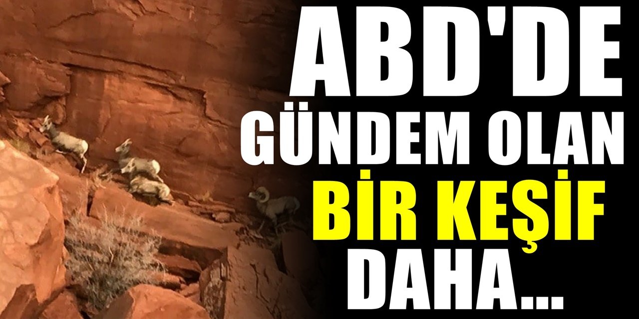 ABD’de Şaşırtan Keşif Gerçekleşti’ Kimsenin Tahmin Edemeyeceği Arazide bulduğu şey şaşırttı..