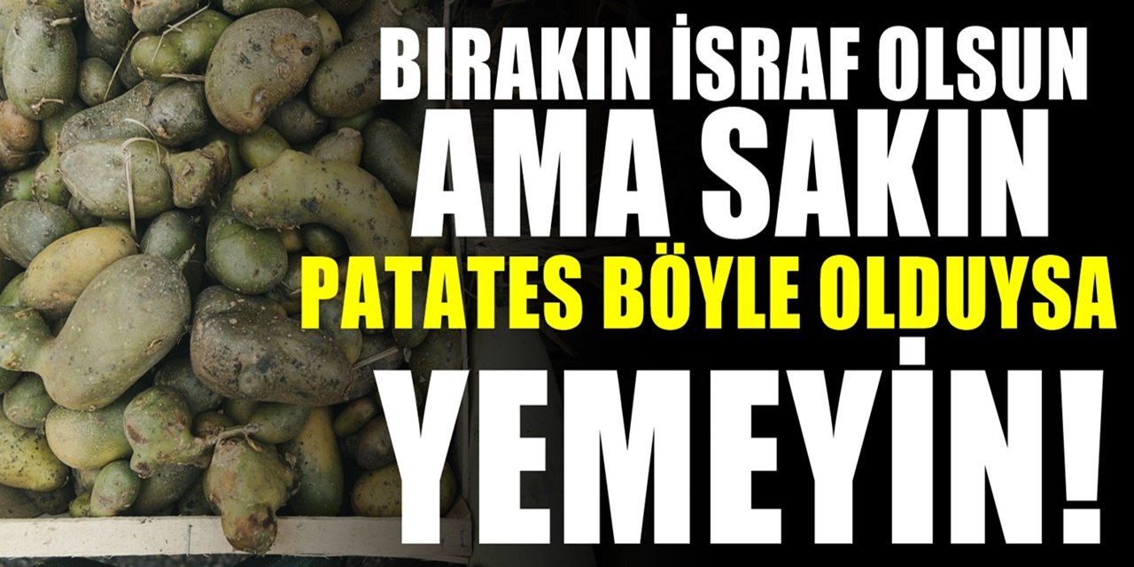 Yemeklik patateste korkutan tehlike. Zehir riski taşıyor. Üzeri böyle olduysa hemen çöpe atın