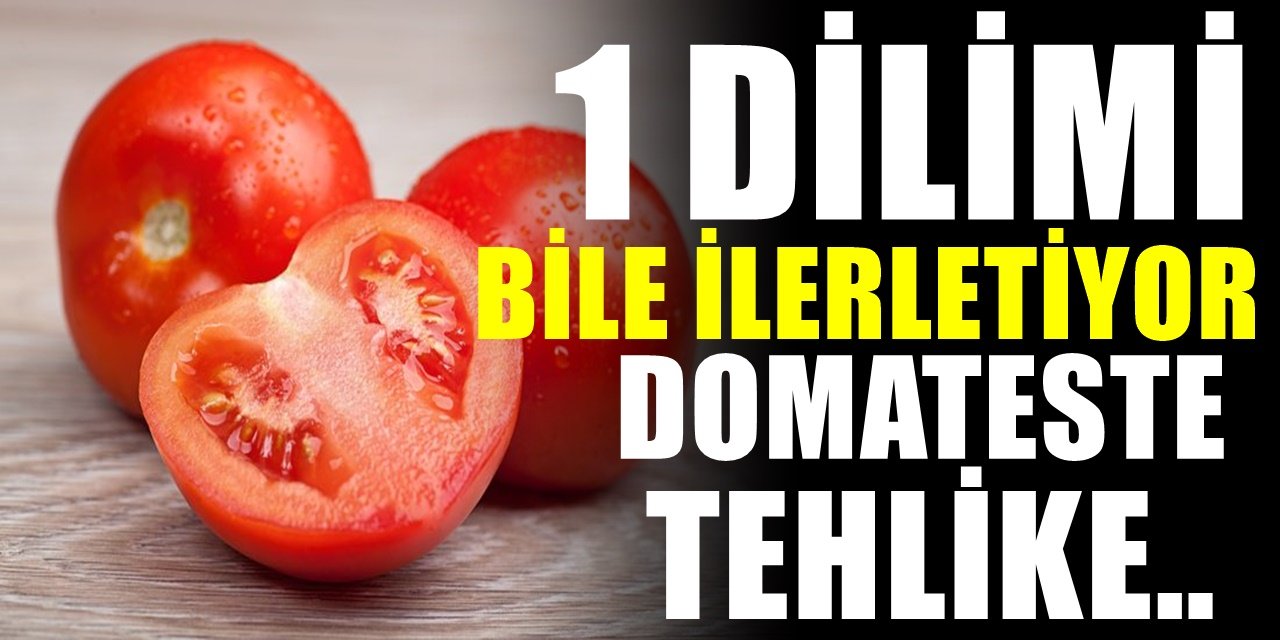Domates yerken dikkat edin. Faydaları çok fazla ancak bazı kişilere zararlı. İşte onlar