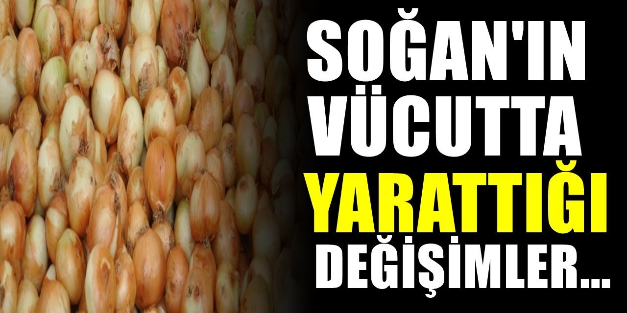 Daha sık soğan yerseniz vücudunuzda bakın ne gibi değişiklikler meydana geliyor..