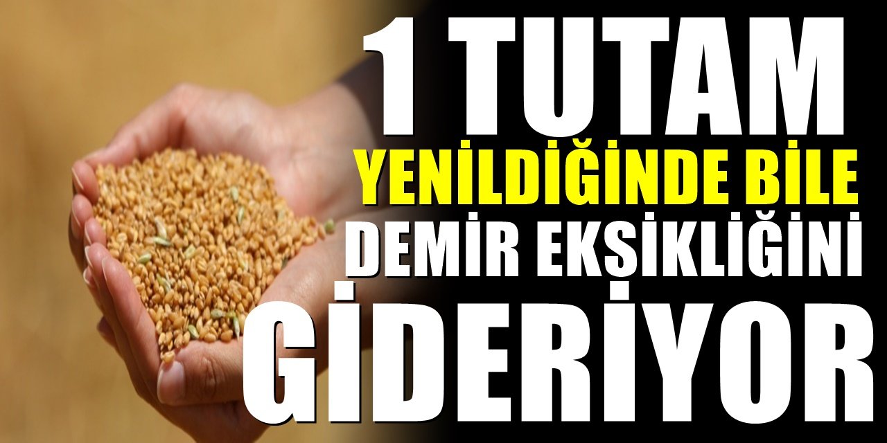 Demir Minerali Kazanmak İçin En İyi yiyecekler. Mutlaka Sofranızda demir eksikliğine karşı olmalı