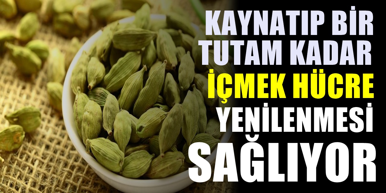 Kötü Hücreleri yok ederek Vücudu Temizleyen Süper Bir Besin! Hafızayı da güçlendiriyormuş...