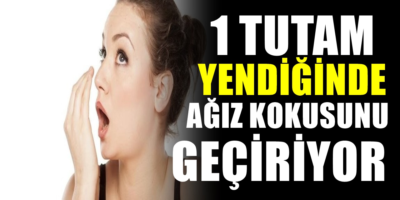 Ağız Kokusu Neden Olur? Nasıl Yok Edilir?