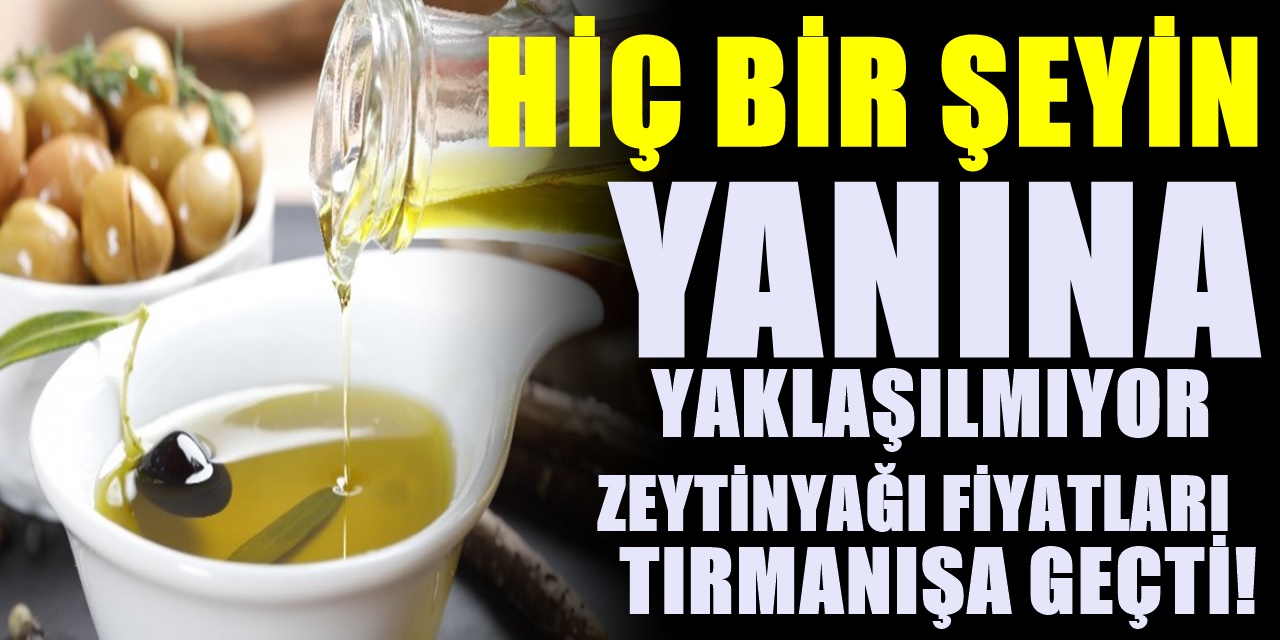 Zeytinyağı almak artık lüks olacak son gelen zamla zeytinyağının kilogram fiyatı belli oldu