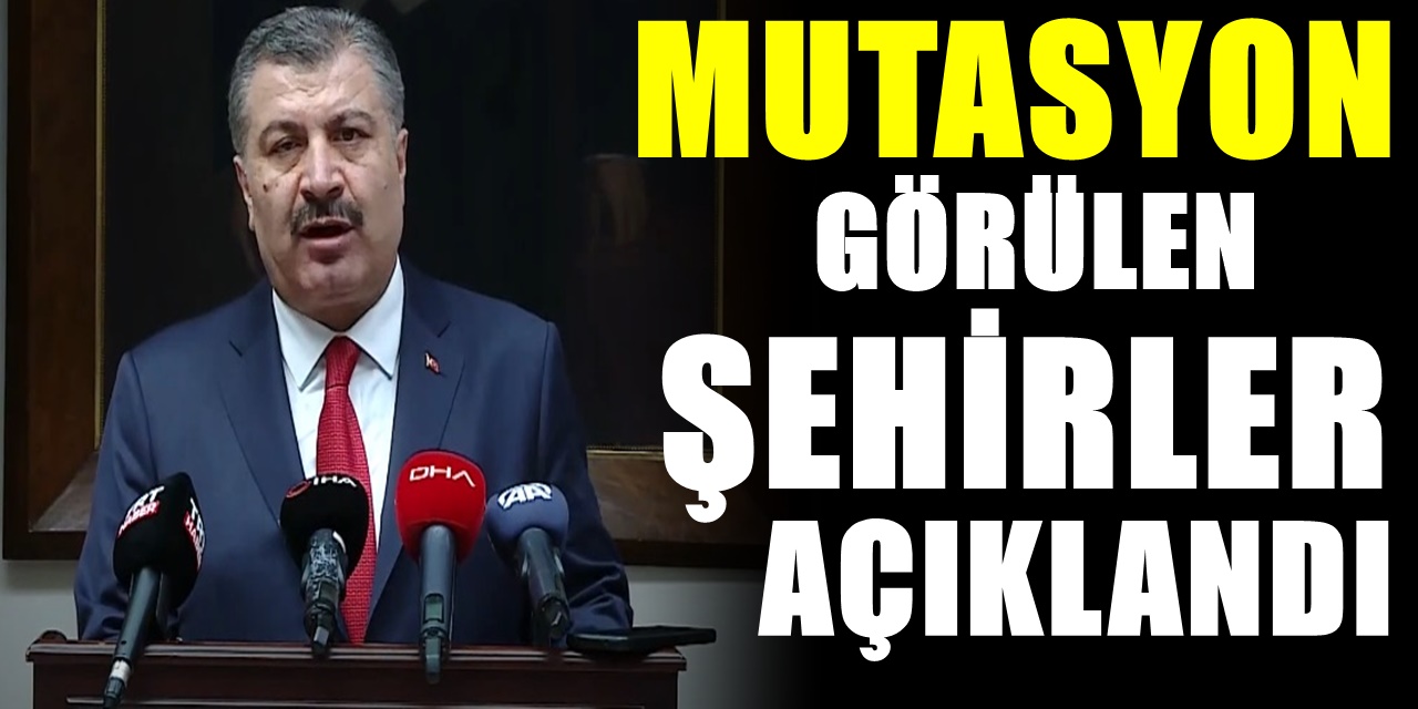 Yurt dışı kaynaklıydı Türkiye'de mutasyon görülen şehirleri resmen açıklandı ve herkes uyarıldı