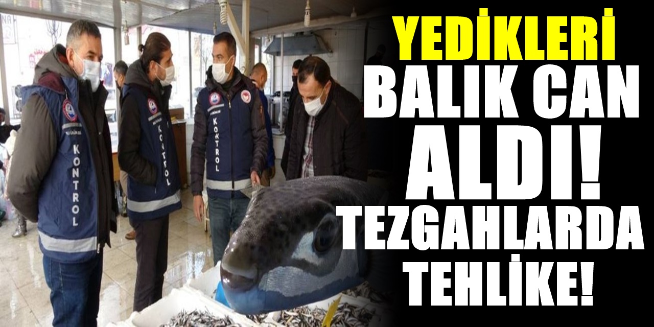 Balık tezgahlarında büyük tehlike! Yanlış balık yedi canından oldu! Uzmanlar herkesi uyarıyor