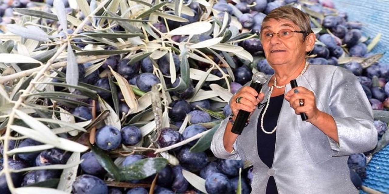 Canan Karatay önerdi. Günde 30 tane zeytin yerseniz vücuda bunları yapar.