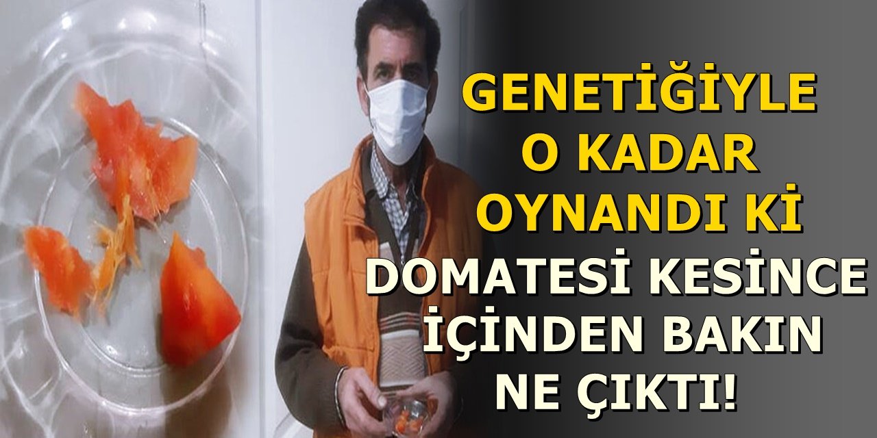 Yemeğin yanında yemek için domates kesiyordu içinden öyle bir şey çıktı ki...