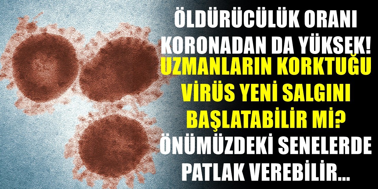 Koronadan sonra bu virüsten korkuluyor! Yeni bir salgın başlatma ihtimali olan virüs daha da tehlikeli!