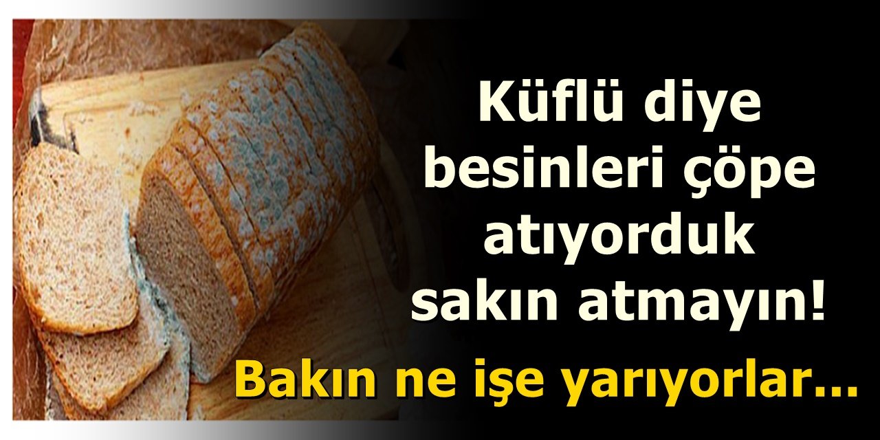 Küflü diye besinleri çöpe atıyorduk sakın atmayın bakın ne işe yarıyorlar...