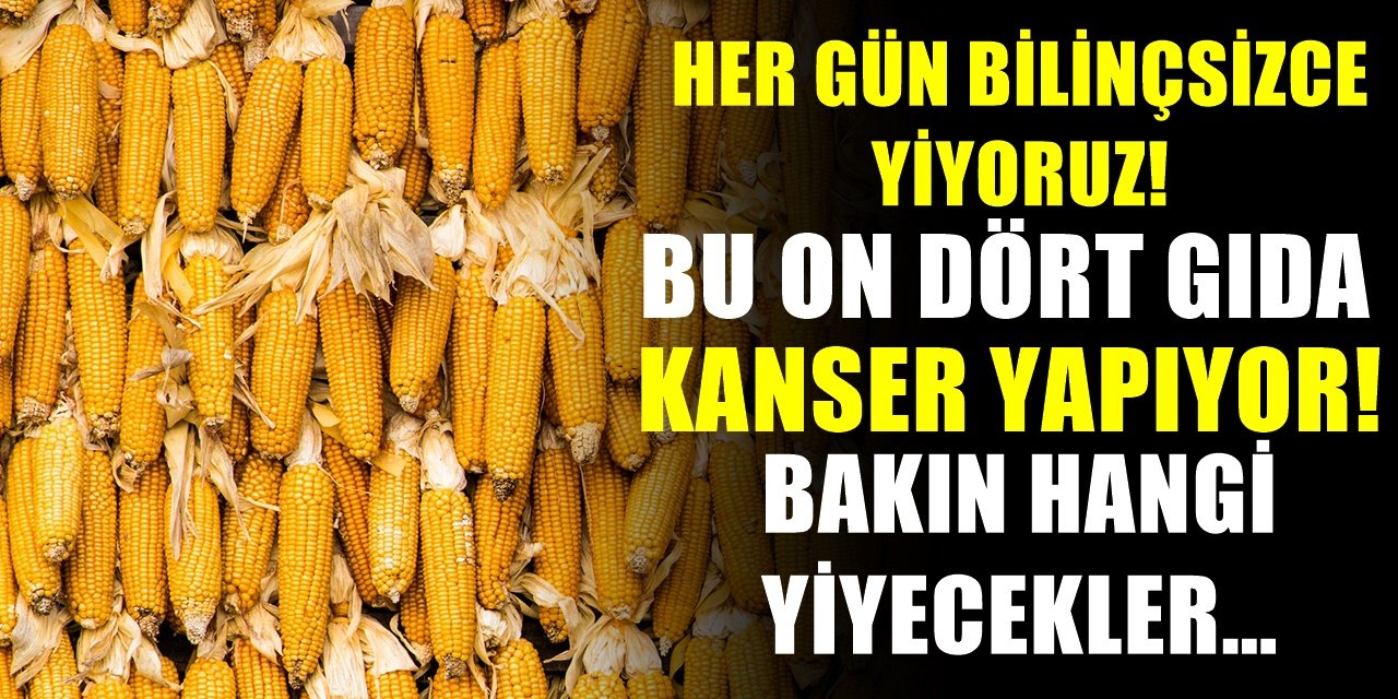 Her gün yediğimiz bu yiyecekler bizi öldürüyormuş Kansere Neden olduğu ortaya çıkan 14 yiyecek