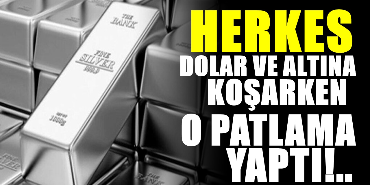 Herkes dolar ve altın peşinde koşuyor oysa ekonominin yeni yıldızı belli oldu! Hızla tırmanıyor