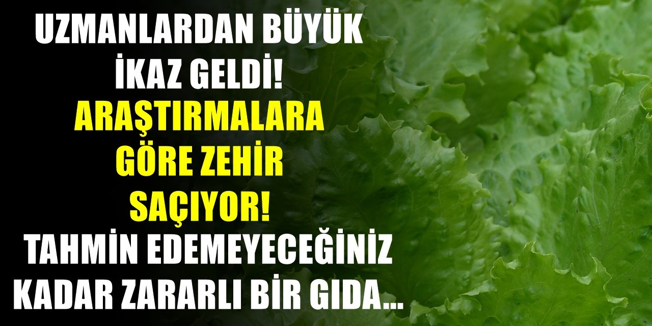 Bu yiyeceği yerken dikkat! En riskli yiyecekler raporunda yer aldı...