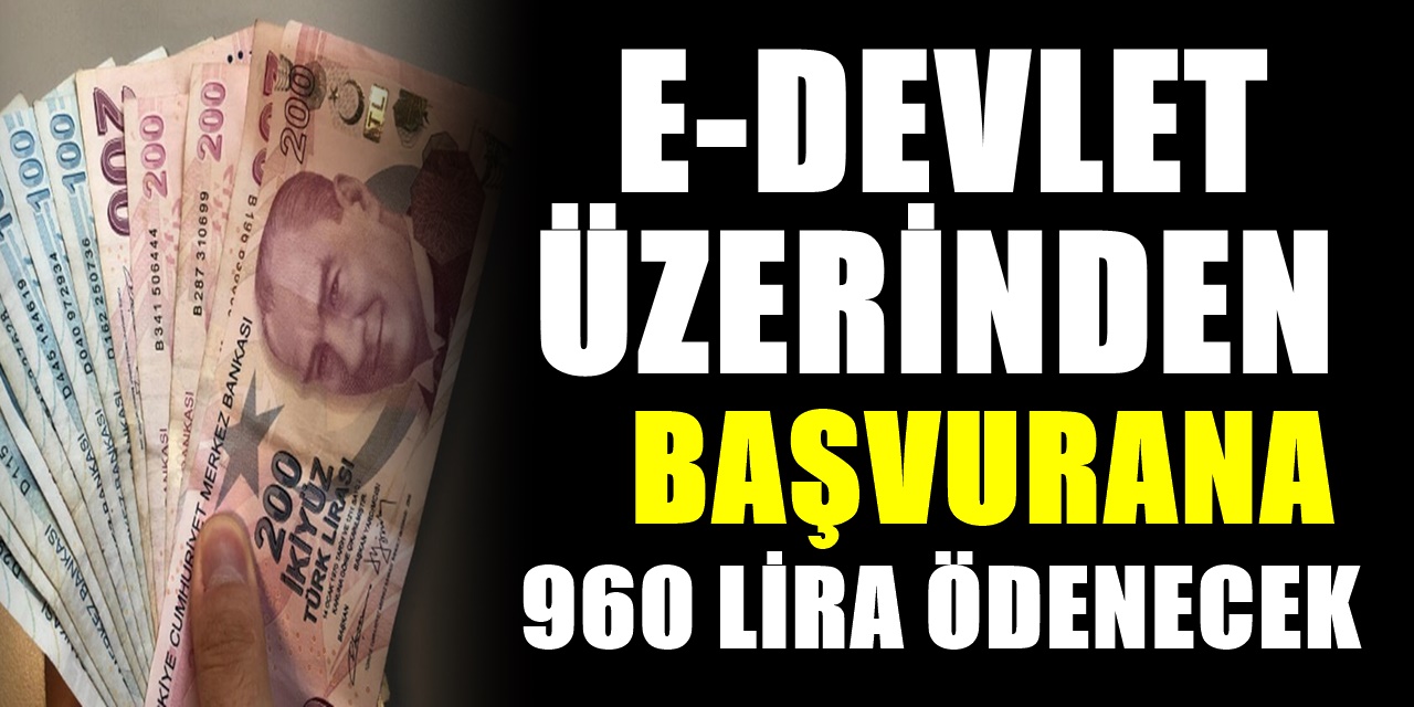 Milyonları sevindiren gelişme Başvuranlara E devlet üzerinden 960 lira verilecek...